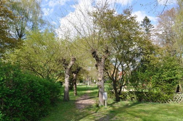 Ferienwohnung Suedpark Schneverdingen Kültér fotó